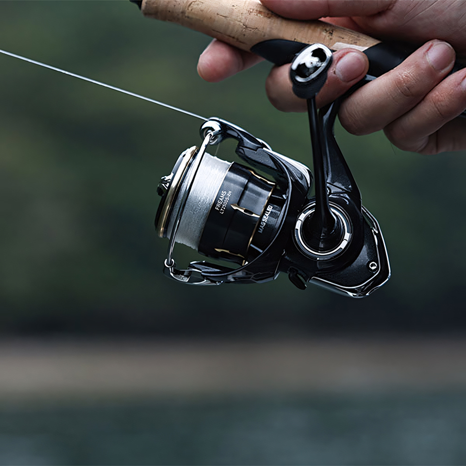 DAIWA 2026 FREAMS Spinning Ree - Shimano Reel Stradic 评论和价格
